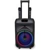 BONTEMPI - Speaker Bluetooth Wireless Trolley Tech 300W con 2 Microfoni e Luci RGB