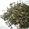 Darjeeling Tea Tè Darjeeling GIDDAPAHAR Oolong Clonale Loose Leaf 500 g Fresh First Flush 2026