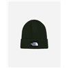 The North Face Logo Box M - Berretto - Uomo - Verde