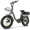 HANEVEAR Bicicletta Elettrica Pieghevole| 24Ah/48V Durata 140KM | 20×4.0 Fat Tire|Freno Idraulico|Motore Posteriore 250W|E Bike Trekking/Città Bici Elettrica per Uomo Donna|H6S