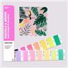 Pantone Pastels & Neons Guide Coated / Uncoated - GG1504C