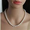 RWBUY Collana di Perle Bianche Akoya Giapponesi AAAA 8-9mm, 20 Pollici, con Chiusura in Oro 14K, 18 Pollici