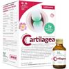 SALUGEA Cartilagea 18 Flaconcini da 12ml