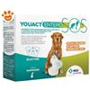 MSD Youact Dog & Cat Entero SOS - Confezione Da 14 Pezzi