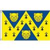 AZ FLAG Bandiera Contea di Shropshire 90x60 cm Poliestere 100D 2 Occhielli | Uso interno ed esterno bandiera decorativa del Contea di Shropshire doppie cuciture e bordi rinforzati