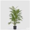 Enzo De Gasperi EDG Enzo De Gasperi Pianta Artificiale Palma Areca con Vaso H135 Cm