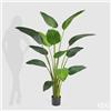 Enzo De Gasperi EDG Enzo De Gasperi Pianta Strelitzia Chic con Vaso H180 cm