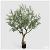 Enzo De Gasperi EDG Enzo De Gasperi Pianta Artificiale Olivo Vouge con Vaso H230 cm
