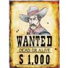 Widmann Srl Poster wanted 38x50 cm