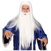 W WIDMANN Parrucca e barba da mago