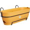Elho vibia campana trough allin1 50cm fioriera - Honey Yellow | Lungh. 26 x Largh. 50.4 x Alt. 17.7 cm | Sottovaso integrato