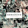 Various Artists Sensitive: An Indie Pop Anthology (Vinyl LP) 12" Album
