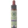 PRINCEPS Srl Mimulus Fiori Di Bach 20 Gtt, 10ml