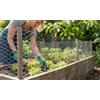 Rete Zincata Esagonale Per Recinzioni E Giardino: 0.5x5 M