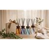 Desire-set 4 Pezzi Diffusori Ambiente Con Bastoncini Da 100 Ml