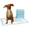 Buybuy 100 Tappetini Igienici Per Cani 60 X 60 Cm