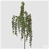 EDG Enzo De Gasperi Cedro Cadente con Pigne Green L120 cm - Decorazione Artificiale di Natale