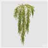 EDG Enzo De Gasperi Pianta Artificiale Ruscus Cadente H 100 Cm Verde - Pianta Decorativa Realistica Design Moderno