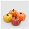 EDG Enzo De Gasperi Zucca Rotonda Cf 4 Pz Ass. H 8 Cm D 9 Cm Arancione Mix