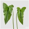 EDG Enzo De Gasperi Foglia Calla Chic H 72 Cm H 60 Cm Colore Verde 2 Pz Assortiti