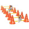 PawHut Set agilità Cani 6 Pezzi 12 Coni Arancione | 6 ostacoli salto altezza regolabile, borsa trasporto, set addestramento per cani