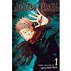 Viz Media, Subs. of Shogakukan Inc Jujutsu Kaisen, Vol. 1 : Volume 1: Ryomen Sukuna