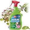 Protect Garden Sanium AL Anticocciniglia PFnPO, Insetticida Sistemico Pronto Uso. Elimina Cocciniglia Stadi Larvali e Adulti. Rapida Azione Abbattente. Fino a 8 Settimane di Protezione 800ml