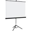 BI-OFFICE Schermo di proiezione su treppiede - 150 x 150 cm - bianco - Bi-Office (unità vendita 1 pz.)