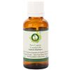 R V Essential Olio essenziale cipresso | Cyperus Seariosus | Per massaggio | Per corpo | Per pelle | 100% puro | Distillato a vapore | Grade terapeutico | Cypress Essential Oil | 30ml | 1.01oz By R V Essential