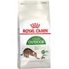 Royal Canin Outdoor 10 kg Crocchette Per Gatto