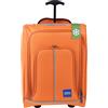PROVITERA Trolley Frigo da Viaggio Rivestimento Morbido, Bagaglio a Mano per Viaggiare con Vano Termico Refrigerante, Valigia Manico Telescopico, 30 x 20 x 50 cm, Coveri Viale Morin