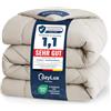CozyLux Piumino Letto Singolo 135x200 cm Lino per 4 Stagioni | Piumone Letto in Microfibra 300 g/m², Oeko-Tex 100, Trapunta Invernale con quattro occhielli, Lavabile in Lavatrice