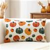 Artscope 1 Pezzi Federe Cuscini di Autunno Cuscino Decorativo in Lino Thanksgiving per Decorazione Domestica Soggiorno Camera da Letto Divano 40x60cm (Zucche Colorate)