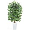 Zythrem Albero di Ficus Artificiale 180CM con Vaso Bianco | Piante Finte da Interno Albero Finto Alto con 2pcs Muschio Artificiale Albero per decorazione soggiorno camera da letto