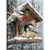 cukol cukol Kit Punto Croce da Ricamare Prestampato Completo, 11CT 36x46 cm | Quadro Uccelli, Schemi Facili per Principianti, Set Ricamo ha Aspetto Raffinato per Decorazioni Parete, Hobby Creativi
