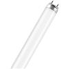 Osram Fluora T8 G13 L 15 W/77 Lampada fluorescente
