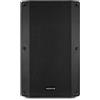 Selius Altoparlante attivo full-range da 1000 W, 15 pollici, con Bluetooth, ideale per musica e voce