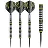 WINMAU Michael Van Gerwen MvG Assault 22 Grammo Freccette in tungsteno con Prism Voli e Nylon Freccette Aste