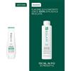 Biolage Professional Hair Spa Biolage Professional Hai Spa Scalp Sync Anti-Dandruff Shampoo 400ml