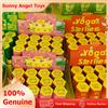 Sonny Angel Mini Figure Smiski Birthday Sunday Living Yoga Work Bath Hippers Moving Series Mystery Surprise Blind Box Giocattoli Regalo