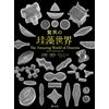 Fotolibro The Amazing World of Diatoms - Un viaggio visivo attraverso il...
