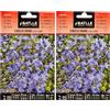Semillas Batlle Semi di Fiori - Lobelia enana Blu Chiaro - Batlle (Confezione da 2)