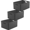 Rotho Country - Set di 3 contenitori in plastica (PP) senza BPA, 3 contenitori A4+/28 l, 43 x 33 x 21,5 cm, colore: antracite