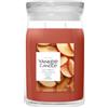 Yankee Candle Barattolo grande con mela e cannella zuccherata