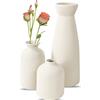 SLAKOZYT 3 Ceramica Vaso Set,Vaso Decorativo da Interno,Minimalista Boho Stile Decor,Vasi Decorativi per Erba Della Pampa, Soggiorno, Scaffale, Tavolo da Pranzo, Libreria, Camino, Ingresso