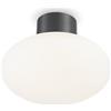 Ideal Lux CLIO - Globo da bagno Flush Light Frame Antracite IP44, E27