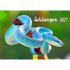 Edition Seidel Premium serpenti 2027 formato DIN A5. Calendario da parete tedesco serpente rettili rettile squamato