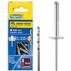 Rapid Scatola da 25 Rivetti in Alluminio XL a Testa Larga da Ø4.8 x 30 mm, Ampia Superficie di Tenuta, per Fissare Tele, Tessuti, Gomme e Reti, con Punta per il Trapano (5000668)