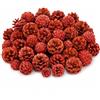 com-four® 36 Pezzi Set Natalizio da con pigne Decorative Rosse Glitterate | elementi naturali per corona dell'Avvento e atmosfera boschiva festiva