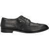 POLLINI - Stringate - Nero